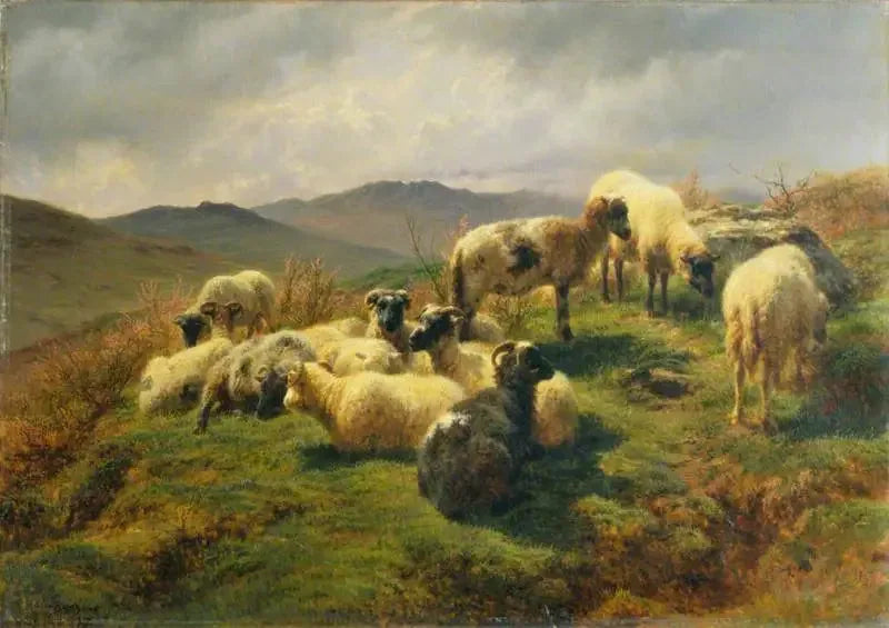 Sheep in the Highlands - Rosa Bonheur