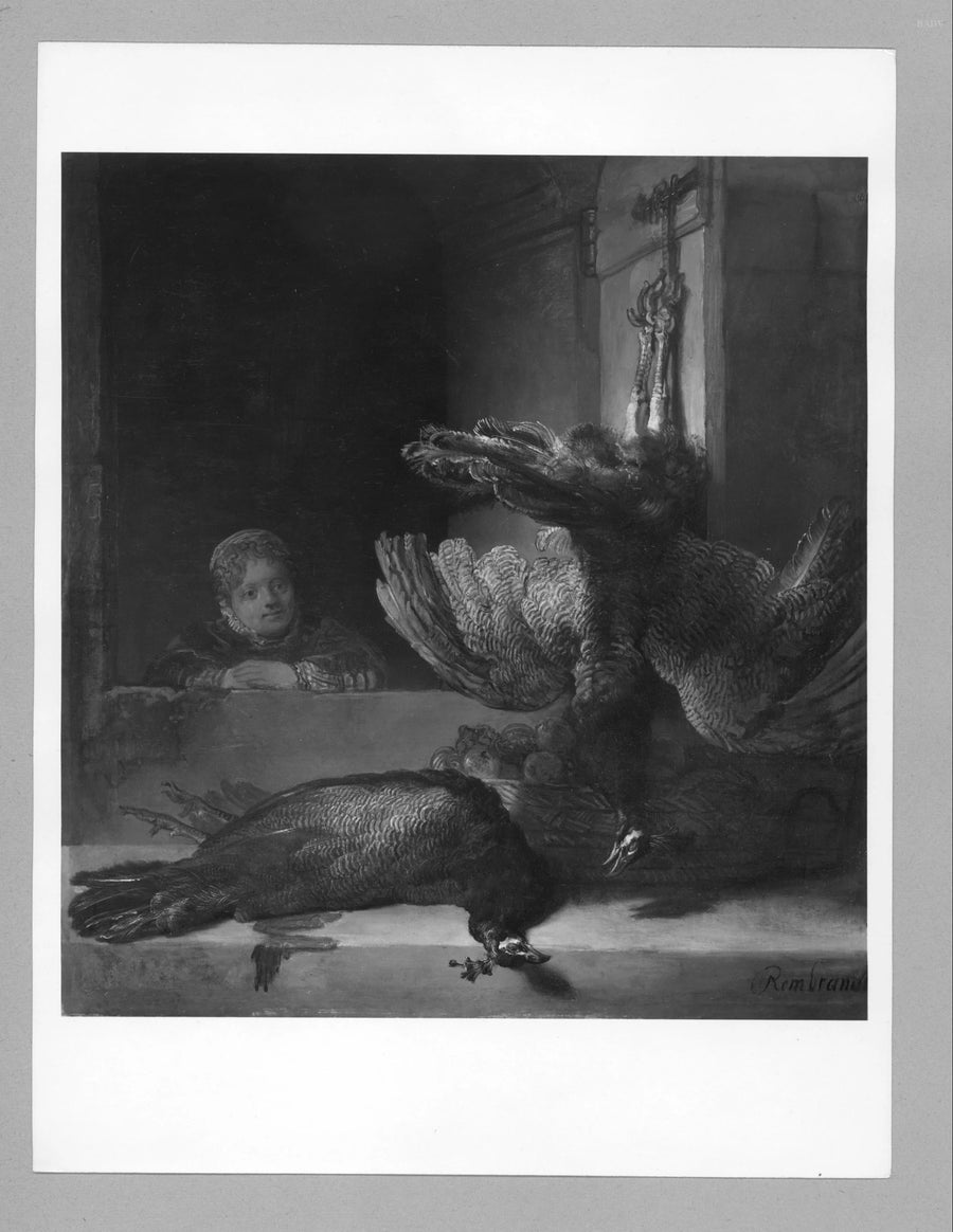 Nature morte aux paons - Rembrandt