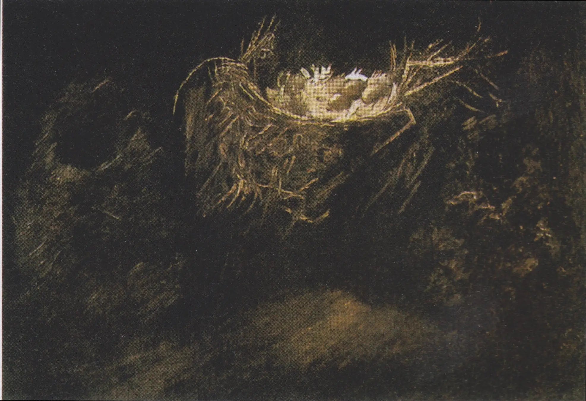 Reproduction du tableau « Nature morte aux trois nids d'oiseaux - Vincent van Gogh » par Alpha Reproduction en peinture à l’huile