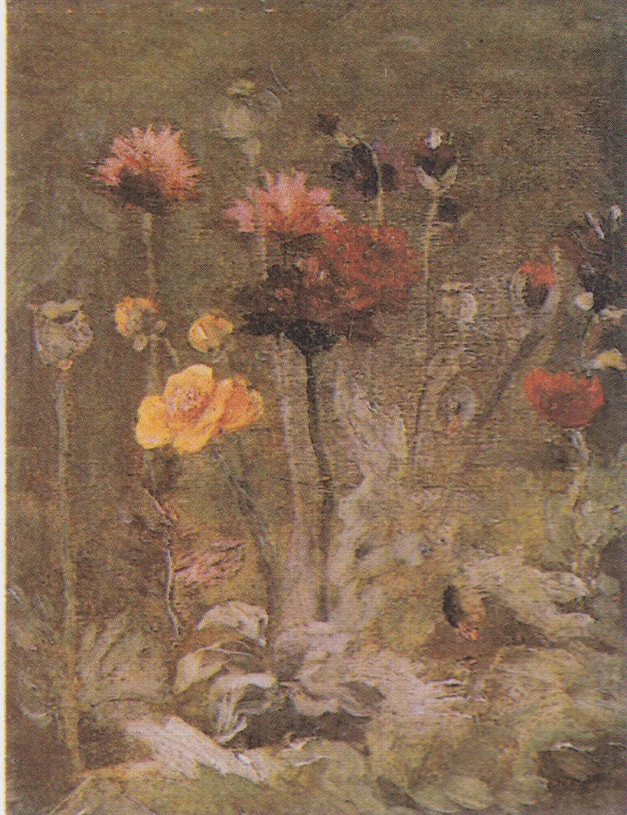 Nature morte avec scabieuse et renoncule - Vincent van Gogh image 1 reproduction réalisée par Alpha Reproduction