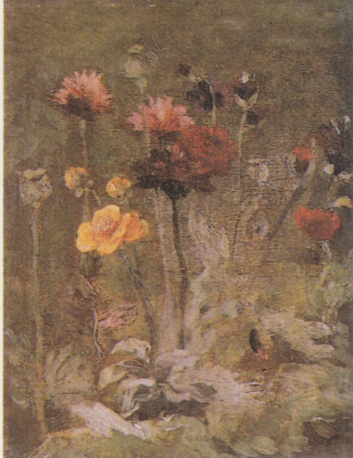 Nature morte avec scabieuse et renoncule - Vincent van Gogh image 1 reproduction réalisée par Alpha Reproduction