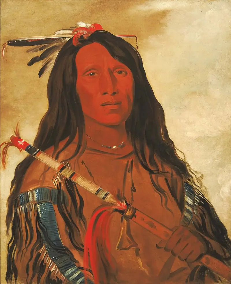 Né-hee-ó-ee-wóo-tis, Wolf on the Hill, Tribe Chief - George Catlin