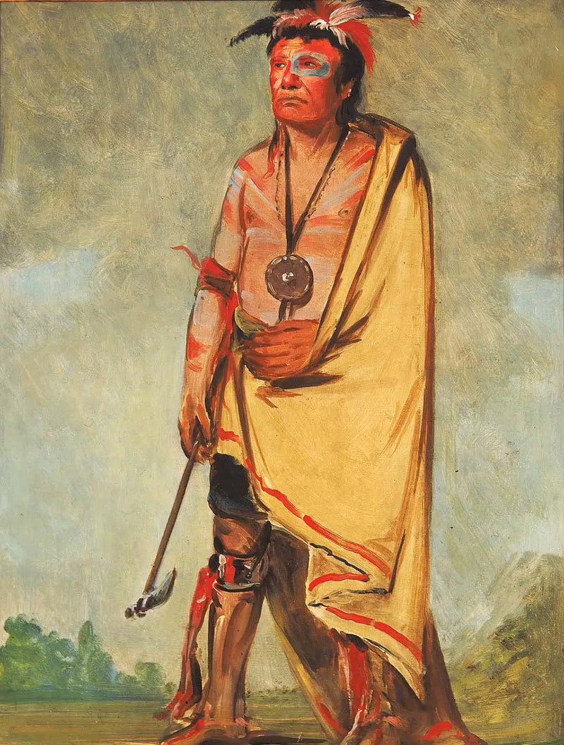 No-ak-chóo-she-kaw, The one who breaks the bushes - George Catlin