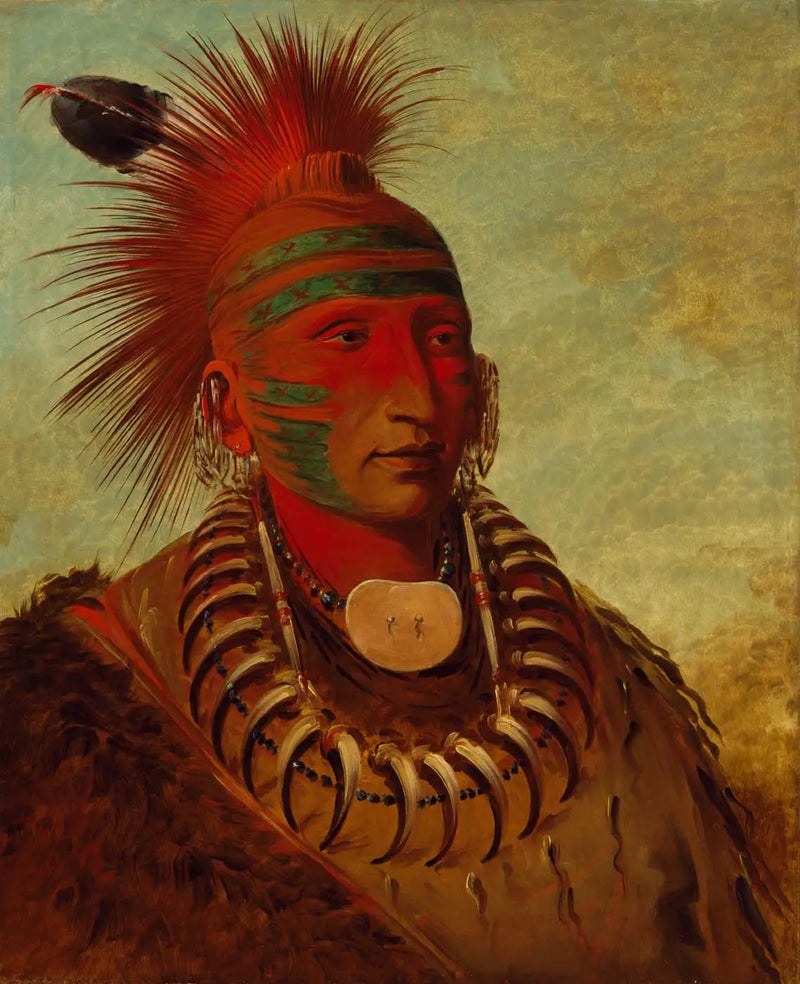 No-ho-mun-ya, The one who pays no attention - George Catlin
