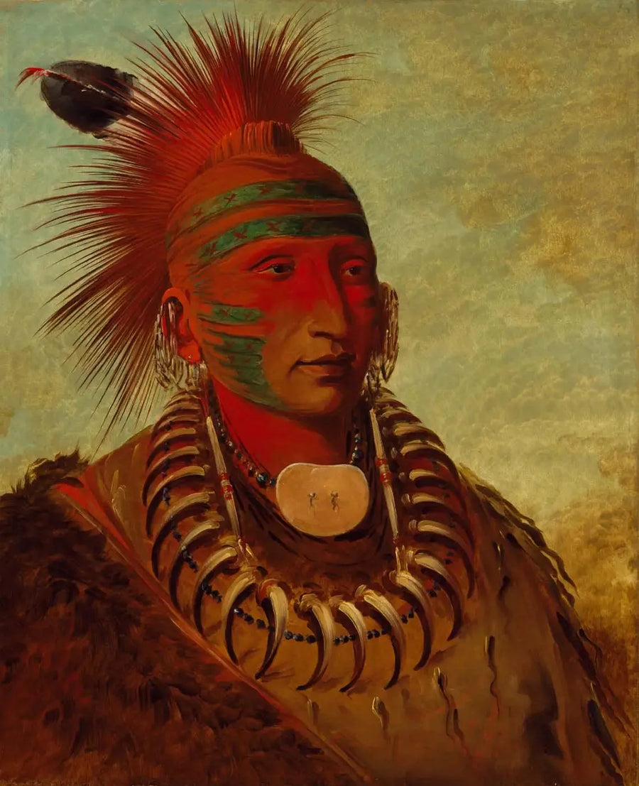 No-ho-mun-ya, The one who pays no attention - George Catlin