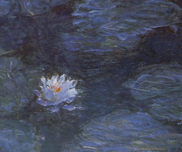 Détail d’une fleur blanche et des feuilles bleu sombre dans les Nymphéas W1506 de Claude Monet
