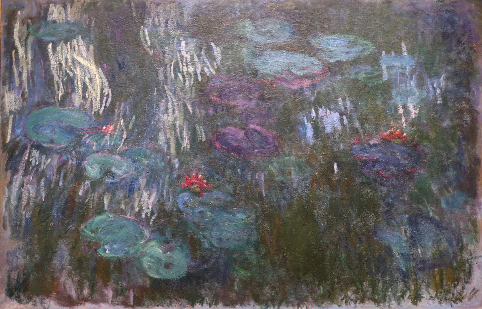Nymphéas W1858 de Claude Monet photographié au Metropolitan Museum of Art