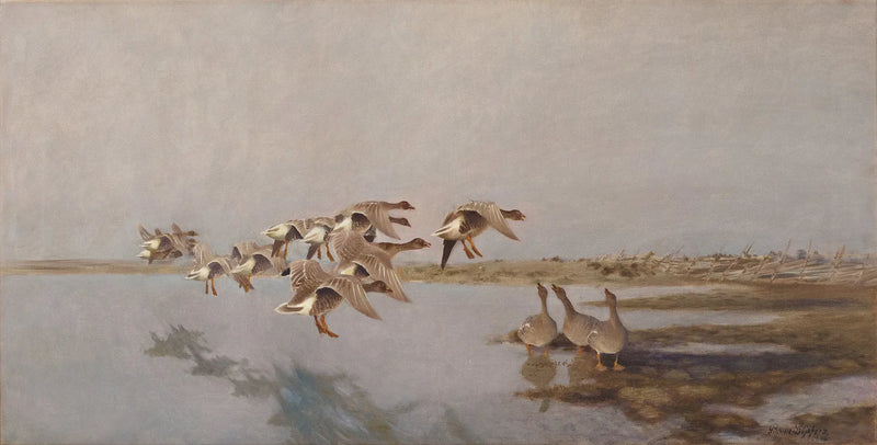 Greylag Geese - Bruno Liljefors