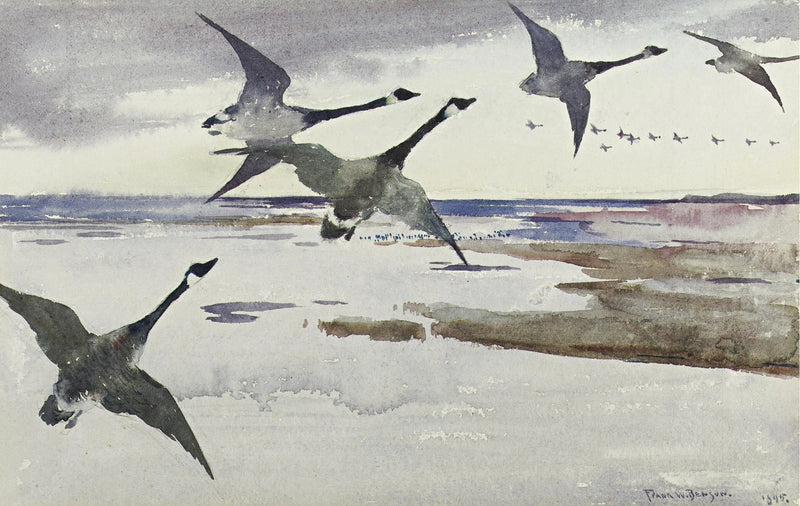 Canada Geese - Frank Weston Benson