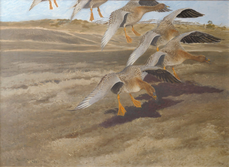 wild geese - Bruno Liljefors