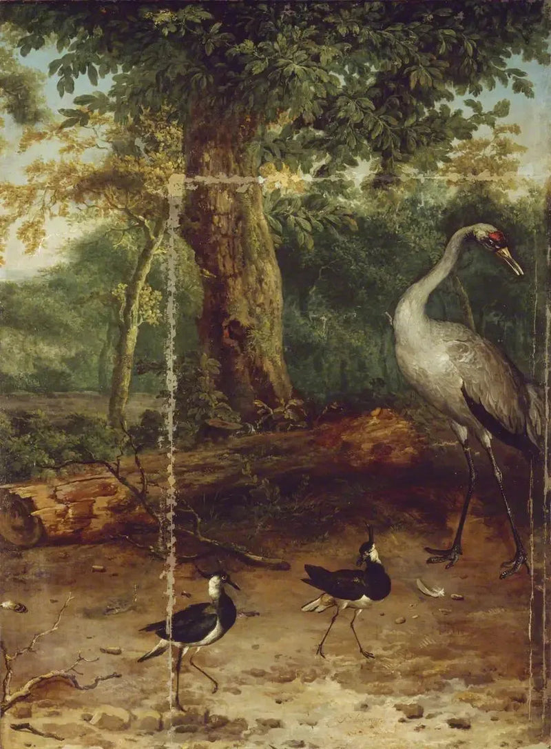 Birds in a Wood - Melchior de Hondecoeter