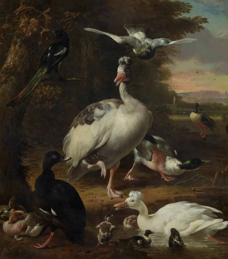 Birds - Melchior de Hondecoeter