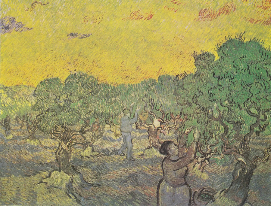 Olive Grove with Harvesting Figures - Vincent van Gogh