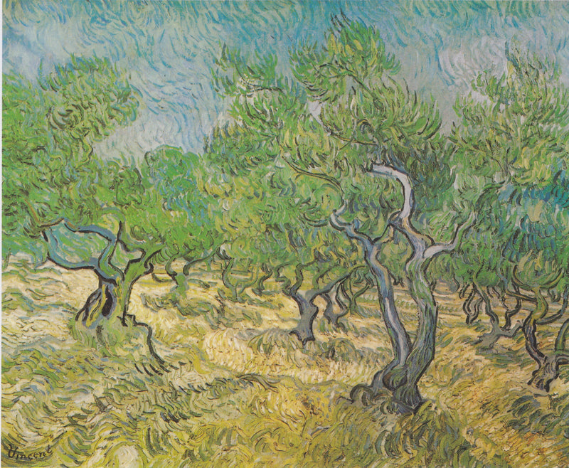 Olive Trees - Vincent van Gogh