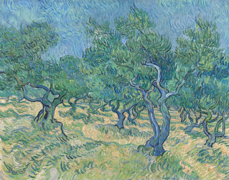Olive Grove - Vincent van Gogh