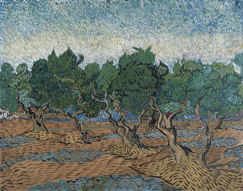Olive Grove - Vincent van Gogh