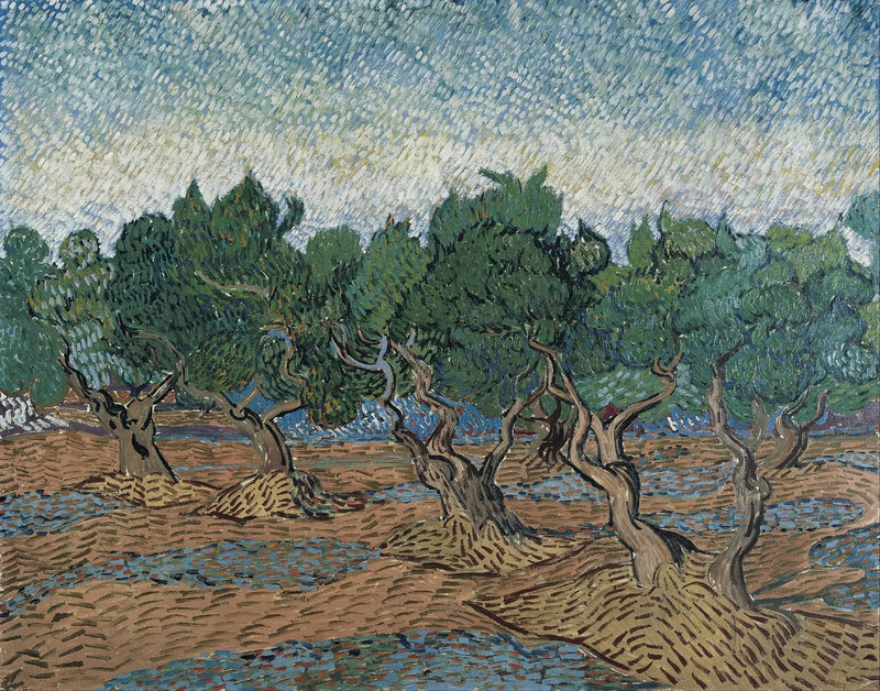 Olive Grove - Vincent van Gogh