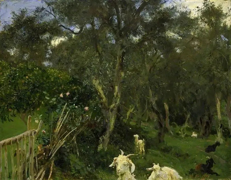 Olives in Corfu - John Singer Sargent