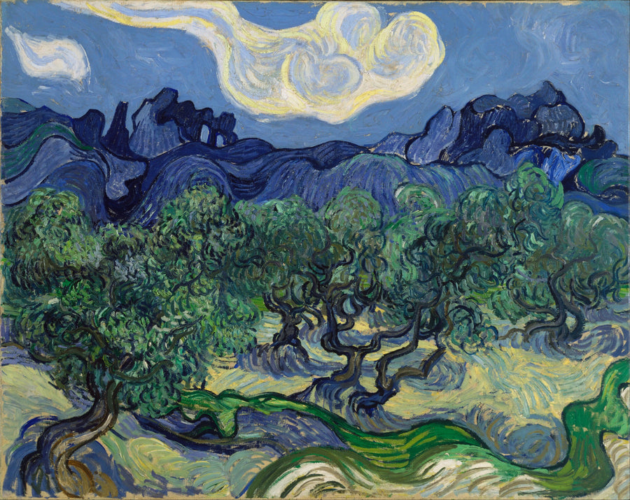 Olive Trees with the Alpilles in the Background - Vincent van Gogh