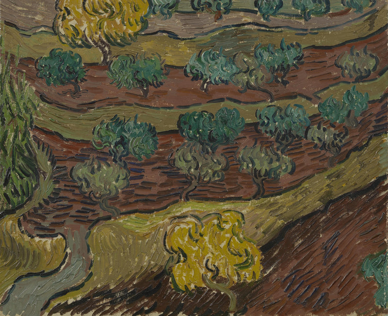 Olive Trees on a Hill - Vincent van Gogh