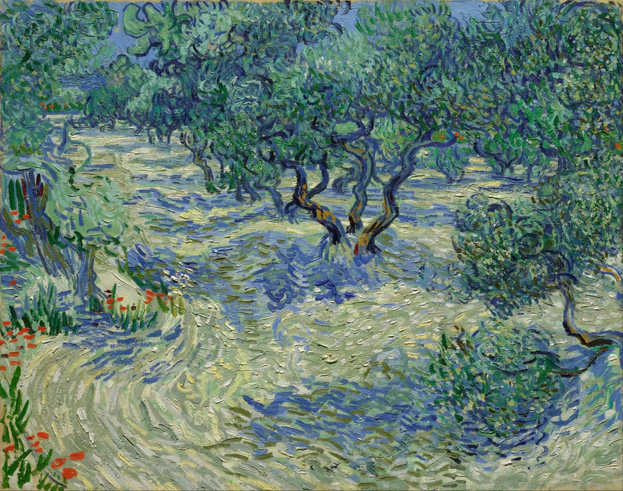 Olive Grove - Vincent van Gogh