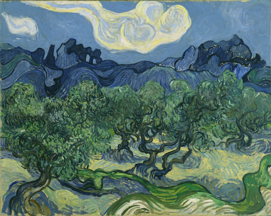 Olive Trees - Vincent van Gogh