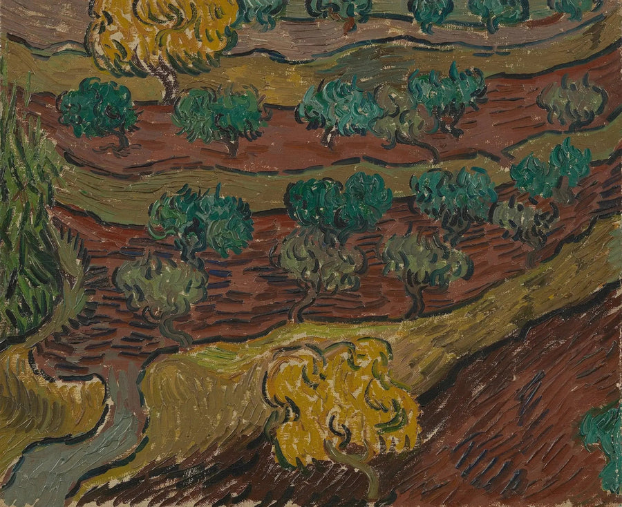 Olive Trees on a Hill - Vincent van Gogh