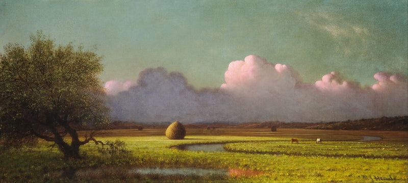 Shadow and Light: The Newbury Marshes - Martin Johnson Heade