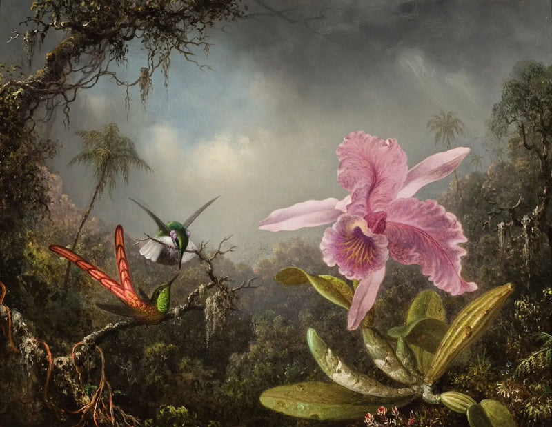 Orchidée with two hummingbirds - Martin Johnson Heade