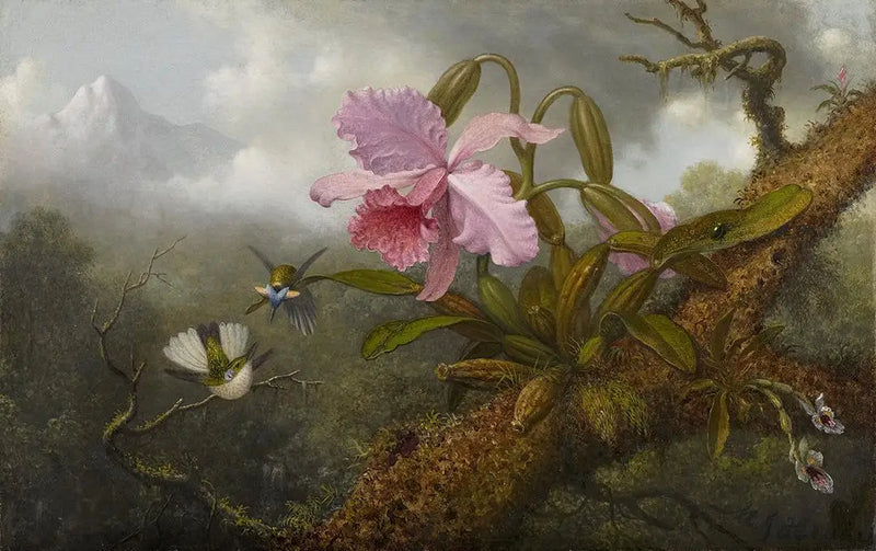 Orchid Cattleya, two hummingbirds and a scarab beetle - Martin Johnson Heade