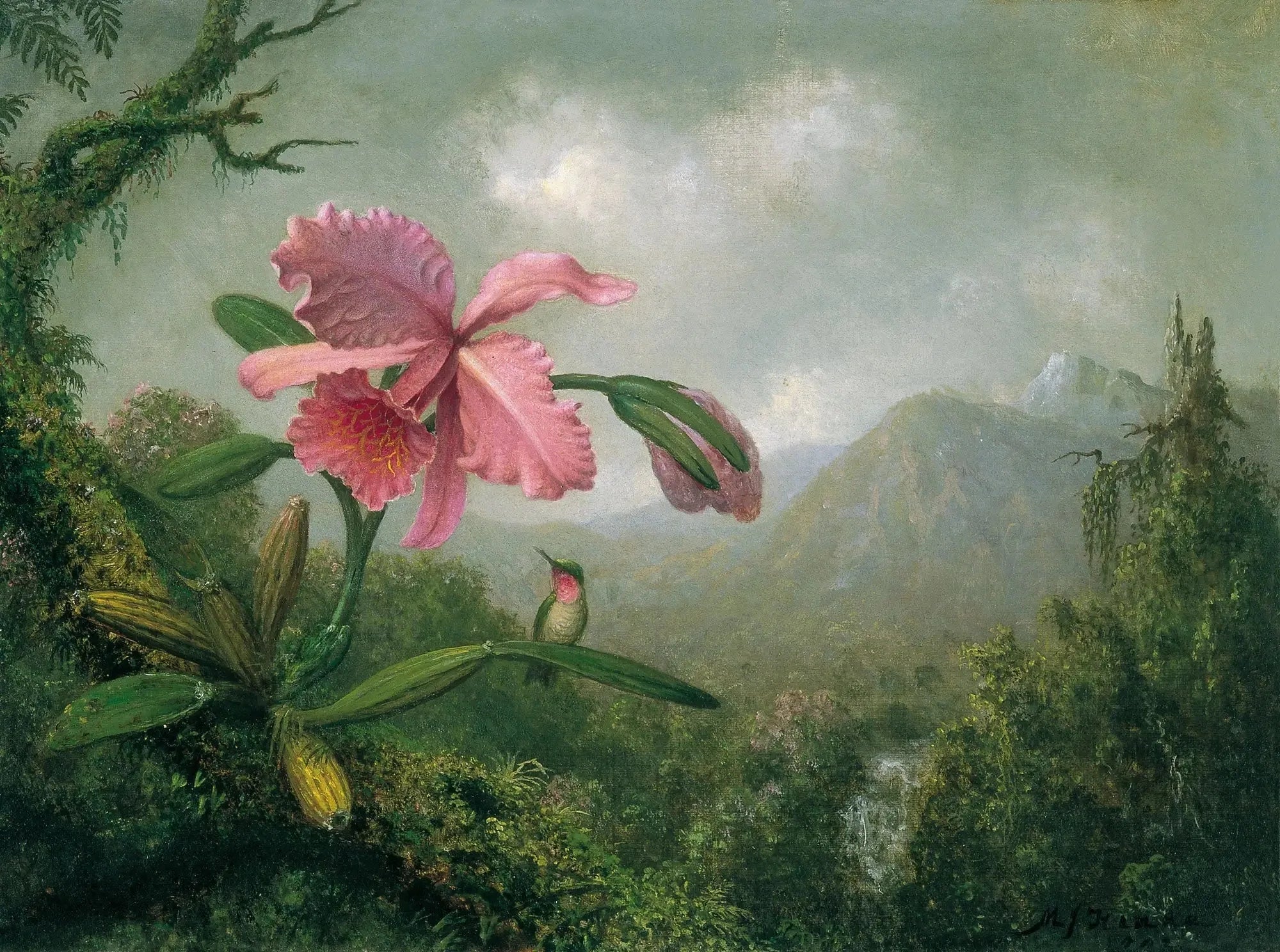 Orchidée et colibri près d'une cascade de montagne - Martin Johnson Heade image 1 reproduction réalisée par Alpha Reproduction