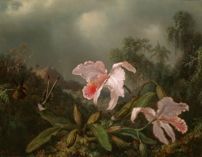 Jungle Orchids and Hummingbirds - Martin Johnson Heade
