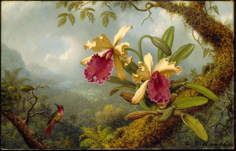 Orchids and Hummingbird - Martin Johnson Heade