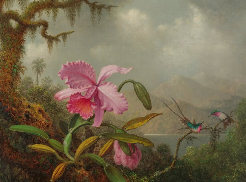Orchids and Hummingbirds - Martin Johnson Heade