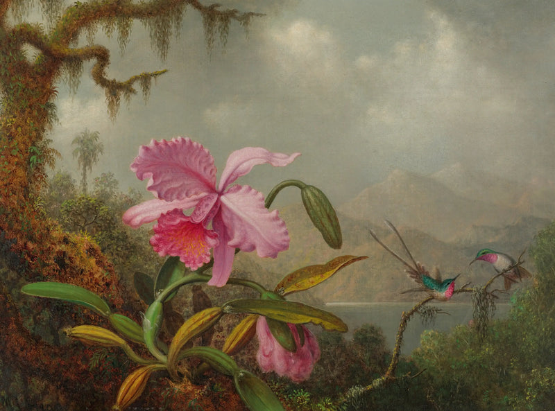 Orchids and Hummingbirds - Martin Johnson Heade