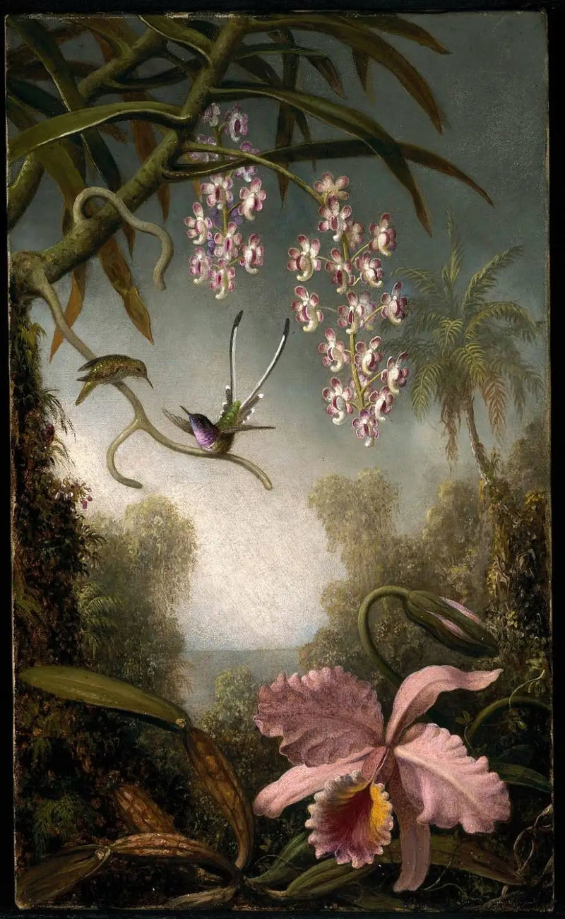Orchids and spray orchids with hummingbird - Martin Johnson Heade