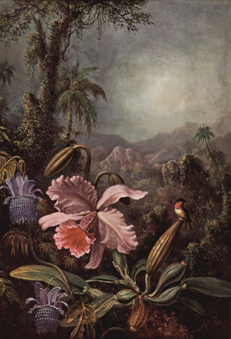 Orchids, Passifloras, and Hummingbirds - Martin Johnson Heade