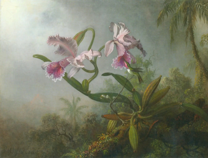 Pink orchids and hummingbird on a twig - Martin Johnson Heade