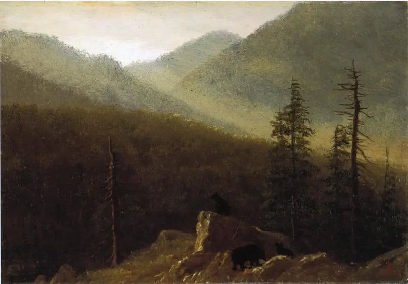 Bears in Nature - Albert Bierstadt