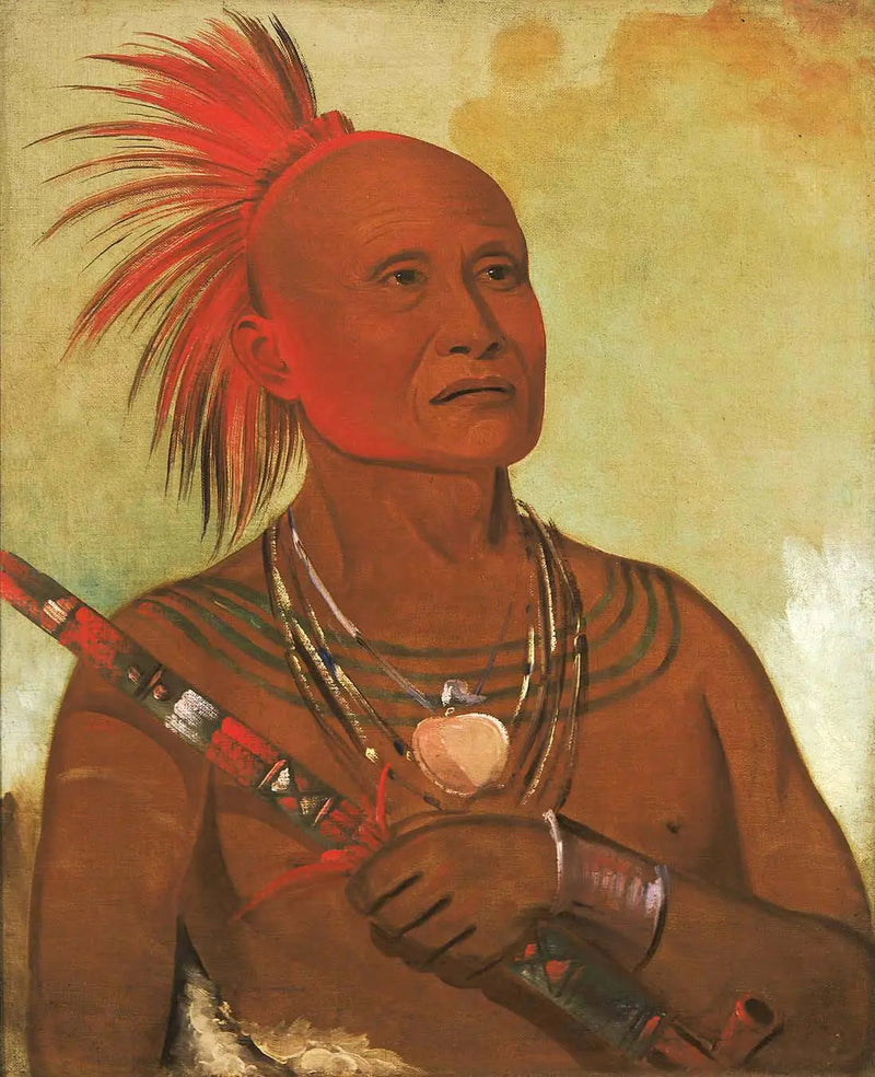 Pam-a-hó, the swimmer, one of the warriors of Black Hawk - George Catlin