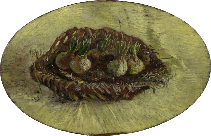 Basket of Hyacinth Bulbs - Vincent van Gogh