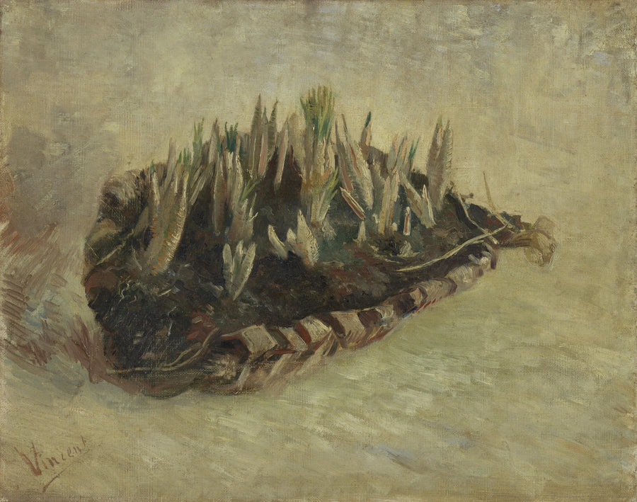 Basket of Crocus Bulbs - Vincent van Gogh