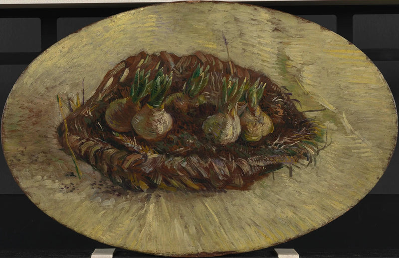 Basket of Hyacinth Bulbs - Vincent van Gogh
