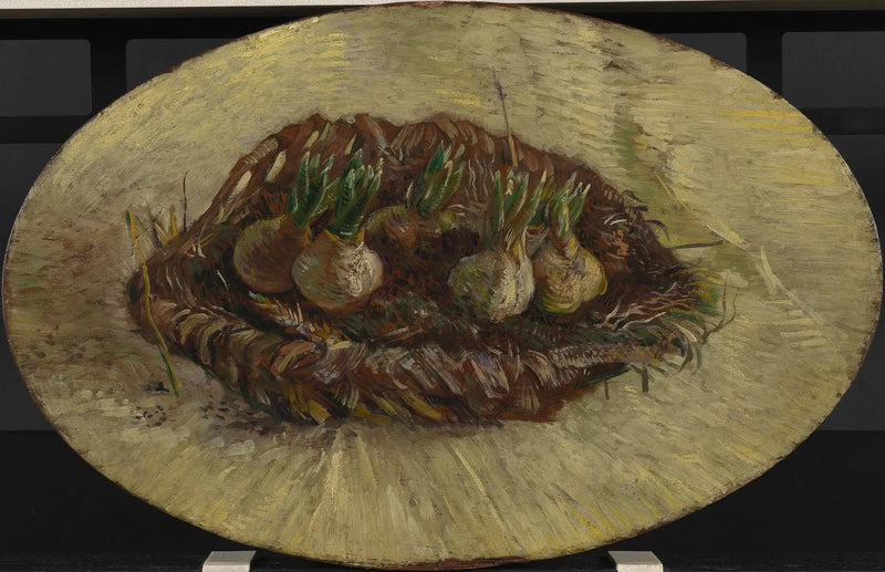 Basket of Hyacinth Bulbs - Vincent van Gogh