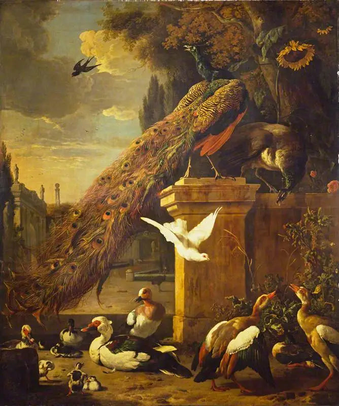 Peacocks and Ducks - Melchior de Hondecoeter