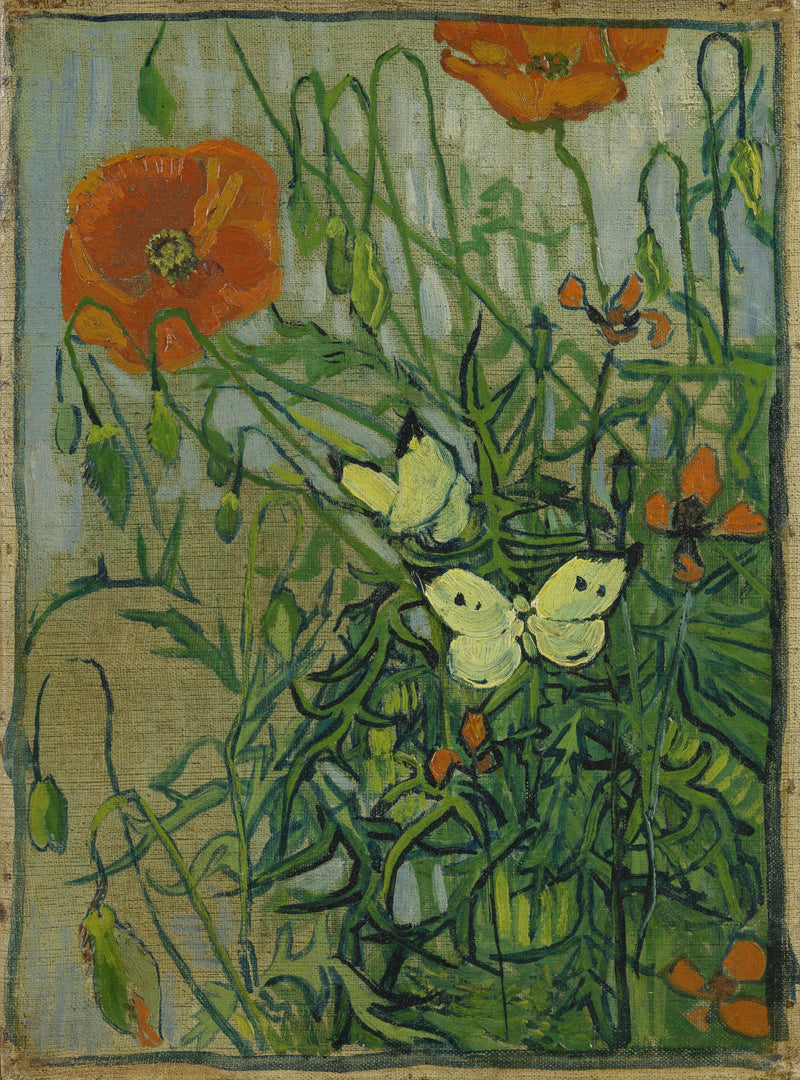 Butterflies and Poppies - Vincent van Gogh