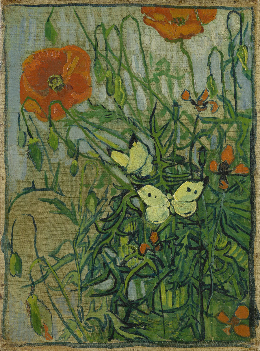 Butterflies and Poppies - Vincent van Gogh