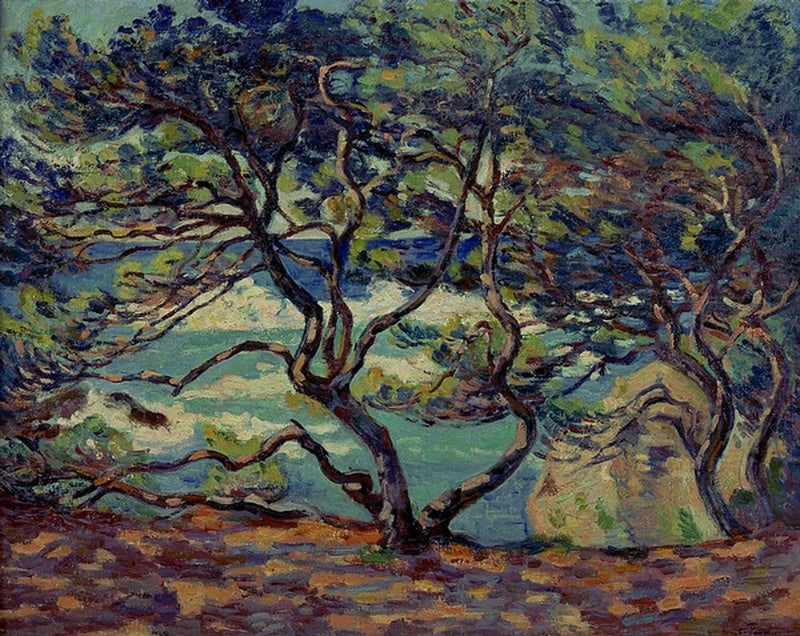 Parasol Le Pin, Le Brusc, surroundings of Toulon - Armand Guillaumin