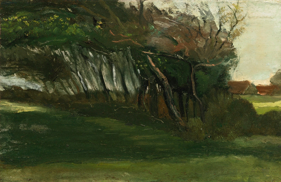 Landscape with Trees Blown by the Wind - Vincent van Gogh