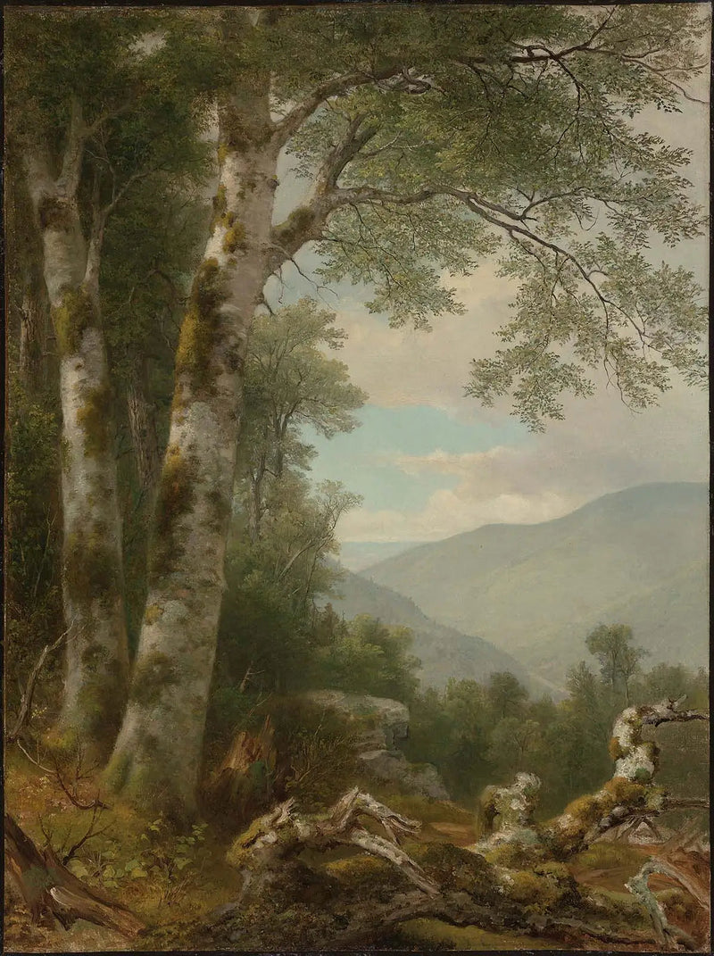 Landscape with Birches - Asher Brown Durand